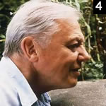 David Attenborogh Where's Yer Camera?