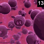 Swine Flu