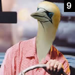 They Might Be Gannets