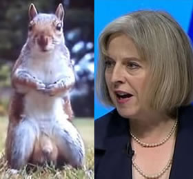 Theresa May Contain Nuts